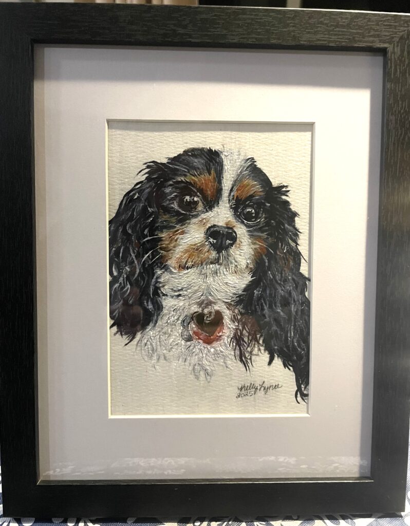 Dog pet portrait Spaniel